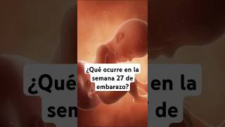 🤔 ¿Qué ocurre en la semana 27 de embarazo 🤰 Síntomas y desarrollo del bebé [upl. by Namien]