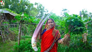 ইলিশ মাছের মাথা দিয়ে সেরা কচুরশাক রেসিপি সাথে বাগানের টাটকা নালতে শাক রান্না  Kochu Shak recipe [upl. by Ritter656]