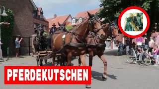 Pferdekutsche und Pferde  Kutsche fahren in Telgte [upl. by Tasha657]