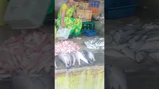 💢💥Vanagaram meen market🐟🐟 Sunday fish fishing fishingvideo fishcooking fishcooking [upl. by Eziechiele]