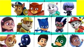 HUGE Paw Patrol amp PJ Masks Toy Surprise Blind Box Show  Fizzy Toy Show [upl. by Xonel]