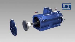 WEG Water Jacket Cooled Motors  WGM Line [upl. by Kingdon]