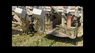 How Its Made  Canned Tomatoes [upl. by Kellby]