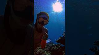 Looking for shells🐚 freediving freediver oceansounds mermaidlife asmrvideo underwater asmr [upl. by Enelhtak]