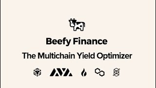 Beefy Finance  A step by step guide to everything [upl. by Nesahc]