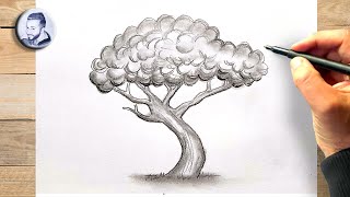 Comment dessiner un arbre au crayon [upl. by Massimo544]