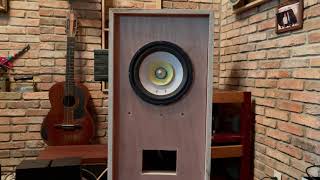 8 inches wood cone field coil fullrange speakers 7 [upl. by Ireland]