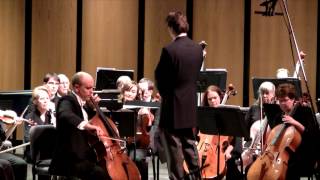 Tchaikovsky Variations on a Rococo Theme  Michal Palzewicz celloMartin Majkut conductorRVSO [upl. by Tigdirb]