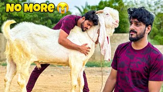 Gabbar is NO MORE with Us😭  Emotional Vlog  Pets  MISHKAT KHAN [upl. by Merkle]