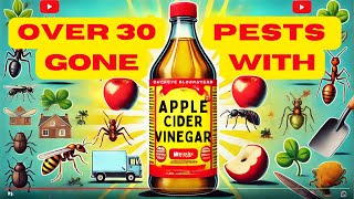 Over 30 Pests Gone with One Ingredient Apple Cider Vinegar Hacks [upl. by Celine]