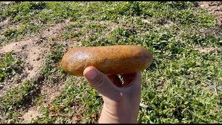 Arrowheads and Beautiful Metate Quartz Grinding Stone Artifact [upl. by Findley]