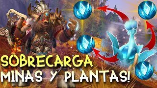 BENEFICIOS Y PERJUICIOS DE SOBRECARGAR MINAS Y PLANTAS🪨🌱 RECOMENDACIONESTIPS 🗒️ TODO ACERCA DE ELLO [upl. by Aicitan]