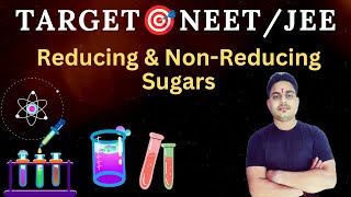 Reducing amp NonReducing Sugars  Biomolecules  NEETIITJEE [upl. by Gena945]