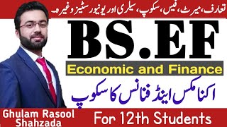 economic and finance  scope of bseconomic and finance in pakistan [upl. by Dnomyaw989]