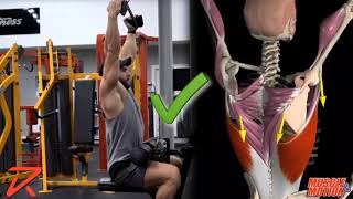 How to Do a Lat Pulldown  Common Mistake [upl. by Notfilc690]