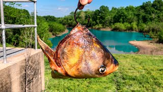 A STATE RECORD Fish is Living in This FLOODED Spillway New PB [upl. by Angel348]