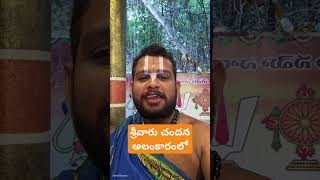 CHANDANA ALANKARAM  srivaridasudu sanathanadharmam devotional spirituality shortsyoutube god [upl. by Samuelson]