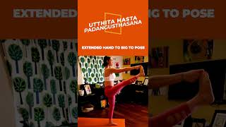 Utthita Hasta Padangusthasana I Ashtanga’s Yoga [upl. by Tolecnal]