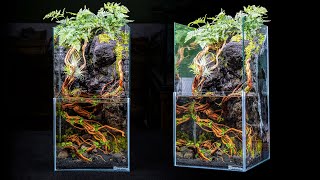 DIY Skyscraper Paludarium With Moss Waterfall [upl. by Nitsud]