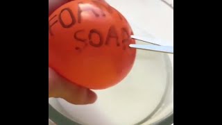 Making Slime With Balloons Slime Balloon Tutorial Compilation [upl. by Haroldson236]