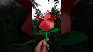 Diy beautiful paper flower paperflower short viral craft Createoncreativity [upl. by Aysab164]