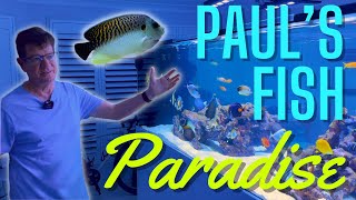 Pauls 4000 Litre Fish Paradise [upl. by Llednyl482]