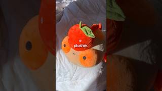 packing 500 orders for my small business plushies [upl. by Nicolais]