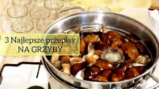 NAJLEPSZY przepis na grzyby w zalewie słonej 3 przepisy Łatwo Suszenie grzybów asmr [upl. by Eimmaj]