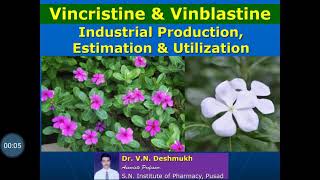 Vincristine amp Vinblastine  Production Estimation and Utilization [upl. by Farly169]