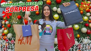 COMPRANDO LOS REGALOS DE NAVIDAD DE MI FAMILIA  TV Ana Emilia [upl. by Coraline]