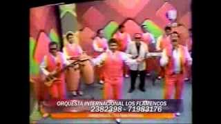 LOS FLAMENCOS  MIX [upl. by Essyla]