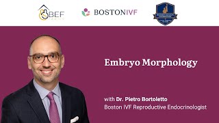 Embryo Morphology  Boston IVF x BEF [upl. by Sined]