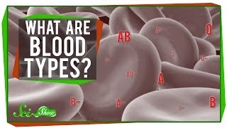 What are Blood Types [upl. by Vivie]