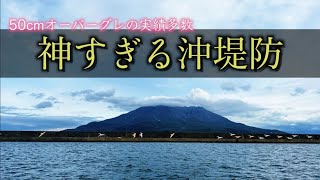 桜島の梺にある神すぎる沖堤防へ。【鹿児島遠征編】 [upl. by Einnok]