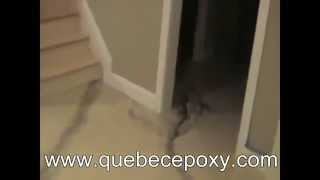 imitation marbre Quebec Epoxy [upl. by Alex]