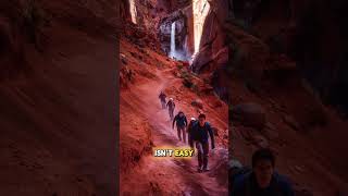 Havasupai Falls Discover the Grand Canyons Hidden Paradise [upl. by Ballman986]