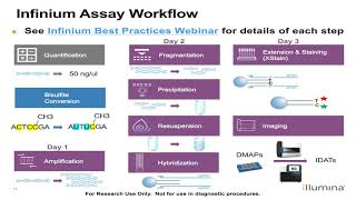 Illumina Infinium Methylation Analysis and Reporting Review [upl. by Devitt]