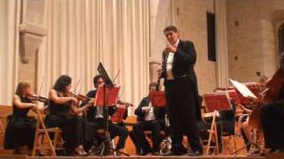 Mozart Concerto per Clarinetto primo tempo II°parte [upl. by Aeel]