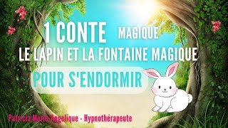 Histoire pour sendormir  Le Lapin et la Fontaine Magique  HISTOIRE POUR DORMIR [upl. by Alakcim]