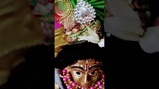 Visma Panchak day 5 🌼🌿trending shortvideo shorts [upl. by Suoivart63]