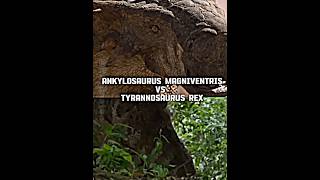 Ankylosaurus Magniventris Vs Tyrannosaurus Rex edit dinosaur prehistoricworld prehistoricanimal [upl. by Eirffej]