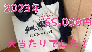 【2023年福袋】COACHレディース福袋を開封したら個人的には大優勝でした【60500円】 [upl. by Ahserb]