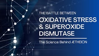 The Battle Between Oxidative Stress amp Superoxide Dismutase [upl. by Eboj]