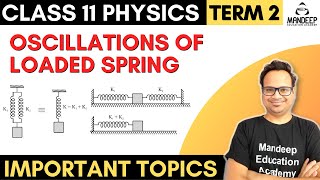 Oscillations of a Loaded Spring Combination of Springs SHM Class 11 Physics Term 2 Important Topics [upl. by Chemaram412]