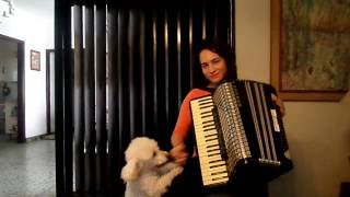 Speranze Perdute waltz Accordion [upl. by Aihsinat]