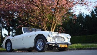 2 years restoring Austin Healey 3000 MkII [upl. by Pesek]