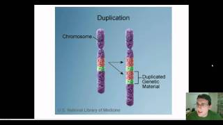 Chromosomal Mutations [upl. by Lieno]