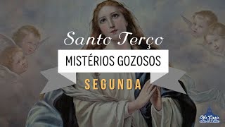 Santo Terço dos Mistérios Gozosos  11 de Novembro [upl. by Templas967]