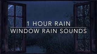 1 Hour Rain Window For Relaxation Study amp Meditation  Evening Ambience [upl. by Esyla]