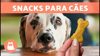 BISCOITOS PARA CÃES com 3 Ingredientes 🐶  Guloseimas caseiras para cães [upl. by Niltiak]